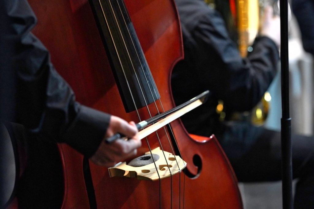 לימודי קונטרבס במרכז יובל חיפה